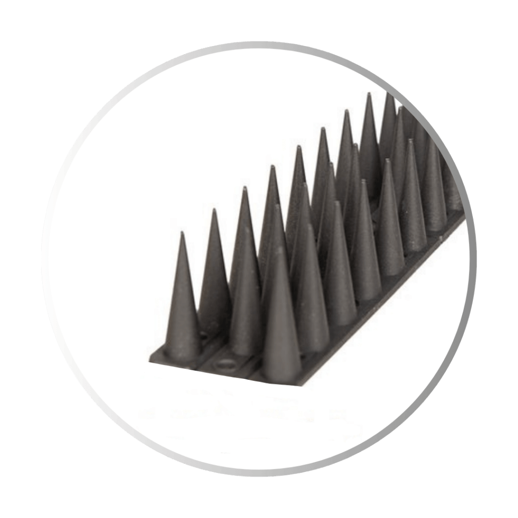 Leniwa antiklimstrip